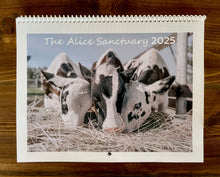 Load image into Gallery viewer, The front cover of the Alice Sanctuary Calendar 2025 showing 3 young cows eating with their heads close together from a trough of straw.
