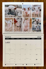 Load image into Gallery viewer, Calendar open to March with a collage of photographs of a large pig, named Oliver.
